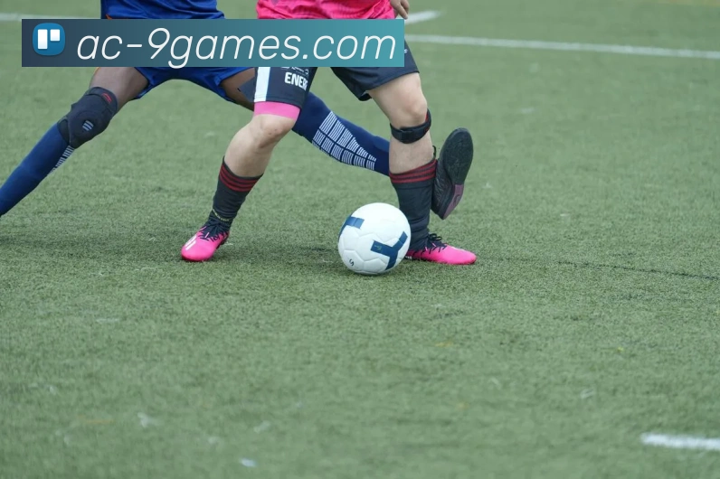 J9九游会官网平台生态图